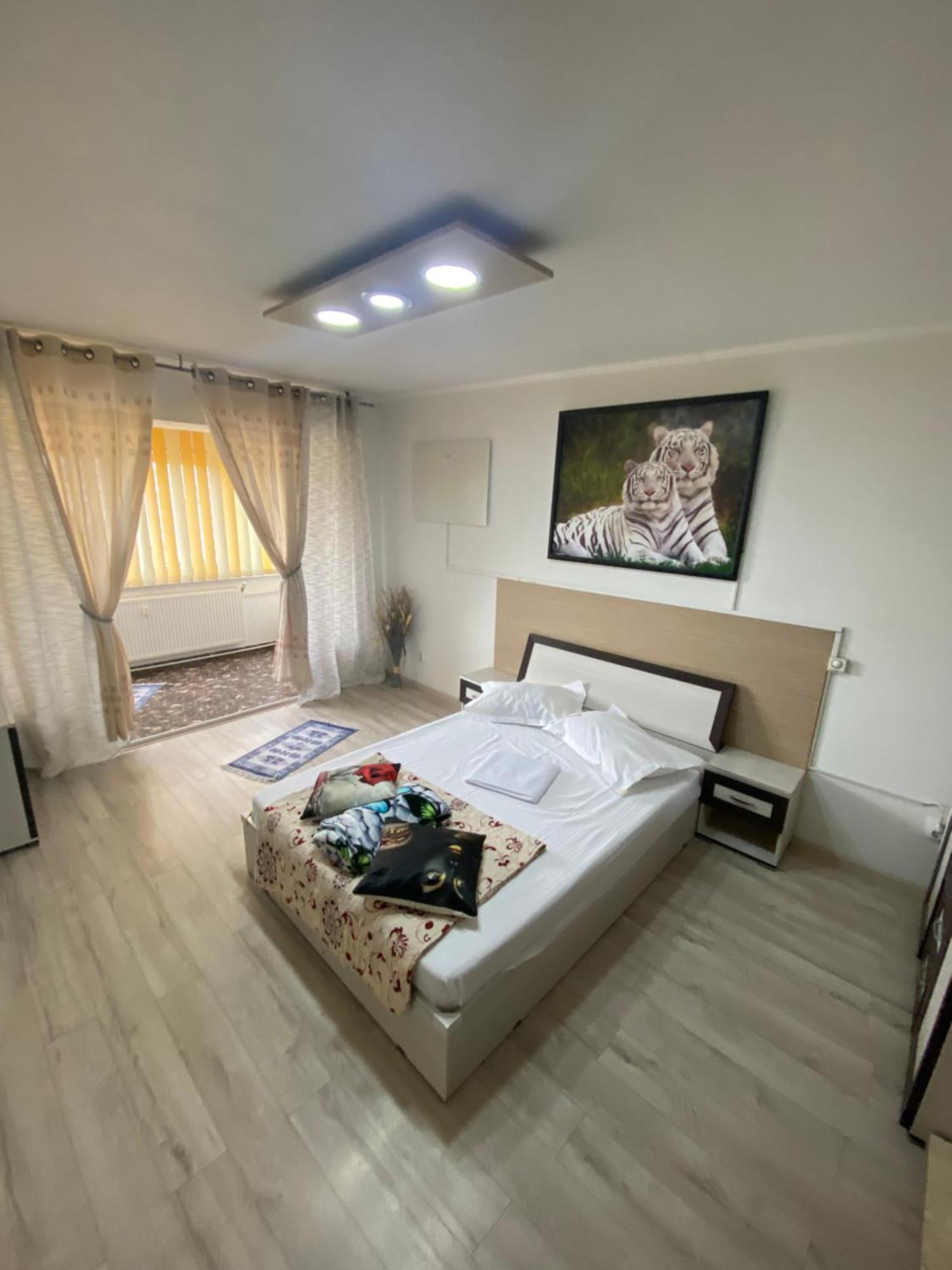 Apartment Darvys Galaţi エクステリア 写真